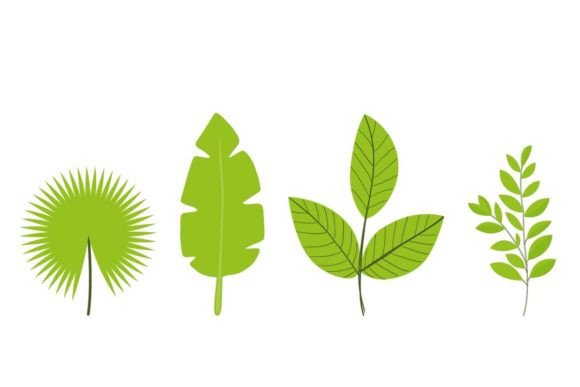 The Leaf Floral Design Package: A Practical Digital Asset Evaluation
